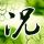 tos885 Siaran eksklusif Nogizaka TV Abema 46 jam 